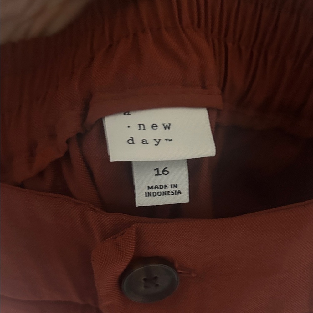 Target Slim Ankle Linen Pants - Rust Color - Picture 2 of 5
